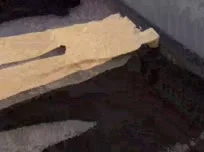 As calcinhas sempre ficam bem