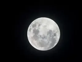 Foto da webcam 1